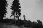 Unbenannt1