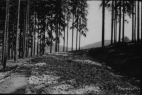 Unbenannt10