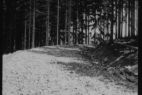 Unbenannt12