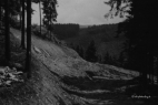 Unbenannt6