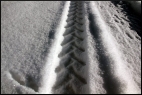 Winterwald 2013